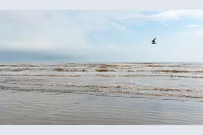 4131 Jackson Drive, Galveston, TX 77554 - Photo 41