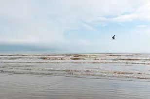 4131 Jackson Dr, Galveston, TX 77554 - Photo 41