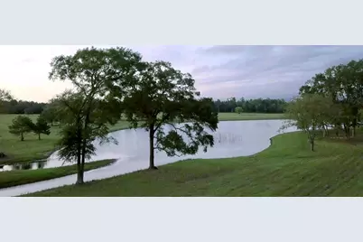 15422 Forest Grove Drive, Willis, TX 77378 - Photo 9