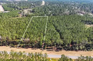 15422 Frst Grv Dr, Willis, TX 77378 - Photo 13