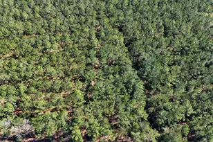 15422 Frst Grv Dr, Willis, TX 77378 - Photo 5