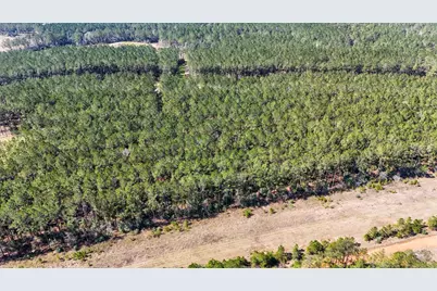 15422 Forest Grove Drive, Willis, TX 77378 - Photo 17