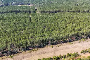 15422 Frst Grv Dr, Willis, TX 77378 - Photo 17