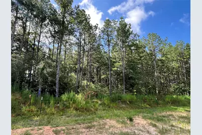 15422 Forest Grove Drive, Willis, TX 77378 - Photo 3