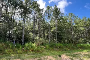 15422 Frst Grv Dr, Willis, TX 77378 - Photo 3