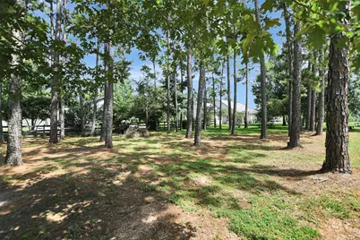 40410 Rolling Forest Drive, Magnolia, TX 77354 - Photo 49