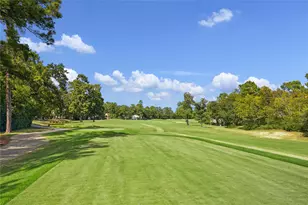 64 N Timber Top Dr, The Woodlands, TX 77380 - Photo 35