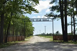 Tract 82 Collin St, Lovelady, TX 75851 - Photo 1