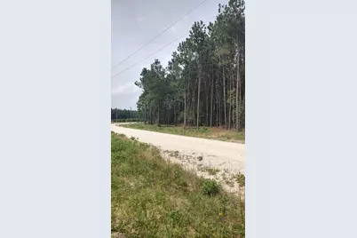 Tract 82 Collin St, Lovelady, TX 75851 - Photo 7