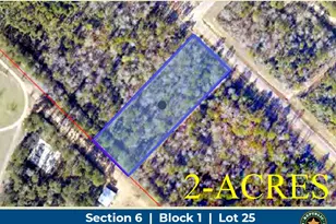 11646 Grand N Rd, Willis, TX 77358 - Photo 1