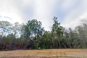 11646 Grand N Rd, Willis, TX 77358 - Photo 5