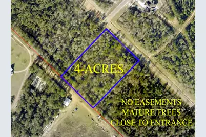 11646 Grand North Road, Willis, TX 77358 - Photo 3