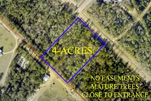 11646 Grand N Rd, Willis, TX 77358 - Photo 3