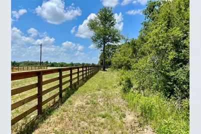 9264 Stetson Drive, Normangee, TX 77871 - Photo 19