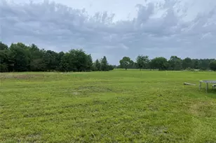 977 Tafelski, New Waverly, TX 77358 - Photo 1