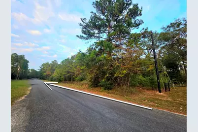 16677 Whippoorwill Road, Navasota, TX 77868 - Photo 5