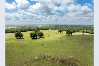 6550 Gibbs Creek Road, Chappell Hill, TX 77426 - Photo 7