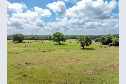 6550 Gibbs Creek Road, Chappell Hill, TX 77426 - Photo 31