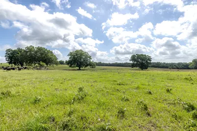 6550 Gibbs Creek Road, Chappell Hill, TX 77426 - Photo 19