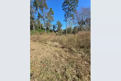 10287 Wanda Lane, Montgomery, TX 77316 - Photo 5