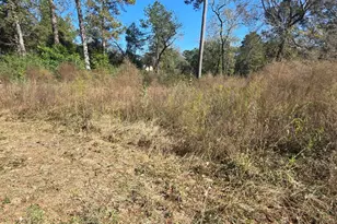 10287 Wanda Ln, Montgomery, TX 77316 - Photo 5