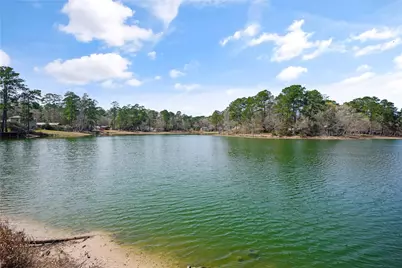 20398 Birch Drive, Montgomery, TX 77356 - Photo 11