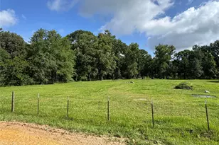 26817 Long St, Splendora, TX 77372 - Photo 3