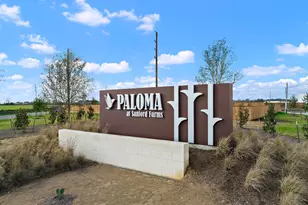 17223 White Peace Dr, Waller, TX 77484 - Photo 19