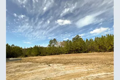 00 Fm 1746, Spurger, TX 77660 - Photo 13