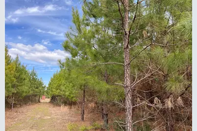 00 Fm 1746, Spurger, TX 77660 - Photo 7