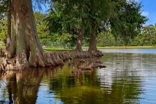 3 Black Cormorant Pl, The Woodlands, TX 77380 - Photo 39