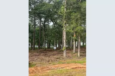 1408 Private Road 131, Centerville, TX 75833 - Photo 9