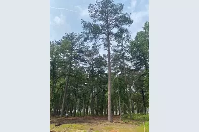 1408 Private Road 131, Centerville, TX 75833 - Photo 11