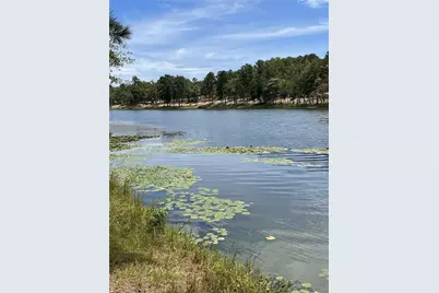 1408 Private Road 131, Centerville, TX 75833 - Photo 1