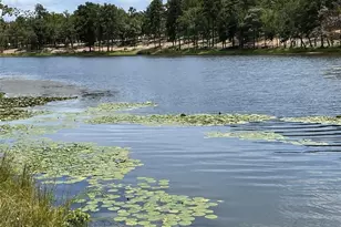 1408 Private Road 131, Centerville, TX 75833 - Photo 1