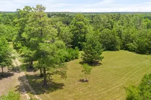 729 Centerhill Cemetery Rd, Crockett, TX 75835 - Photo 33