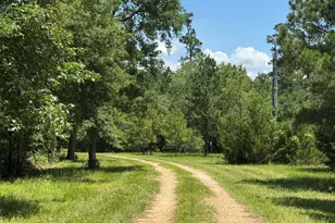 729 Centerhill Cemetery Rd, Crockett, TX 75835 - Photo 29