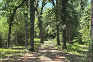 729 Centerhill Cemetery Rd, Crockett, TX 75835 - Photo 29
