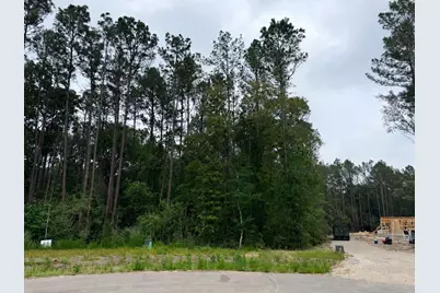 25300 High Meadow West Dr, Montgomery, TX 77316 - Photo 1