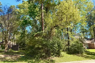 3015 Chaucer Dr, Montgomery, TX 77356 - Photo 1