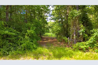 45 Acres Fm 229, Crockett, TX 75835 - Photo 11
