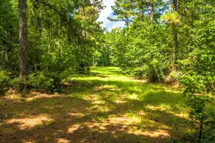 45 Acres Fm 229, Crockett, TX 75835 - Photo 1