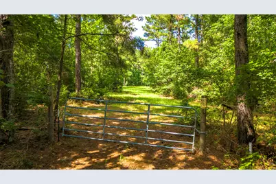 45 Acres Fm 229, Crockett, TX 75835 - Photo 5