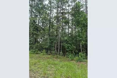 380 County Road 6494, Dayton, TX 77535 - Photo 3