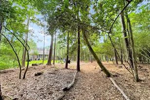 78 E Stockbridge Landing Circle, The Woodlands, TX 77382 - Photo 33