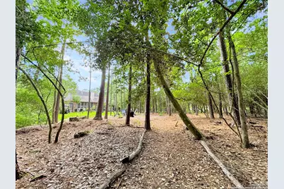 78 E Stockbridge Landing Circle, The Woodlands, TX 77382 - Photo 7