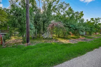 22722 Cr 384A, Damon, TX 77430 - Photo 3