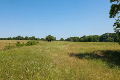 Tract #8 Cr 305 Road, Navasota, TX 77868 - Photo 17