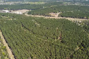 214 Hunters Hill Rd, Oakhurst, TX 77359 - Photo 11