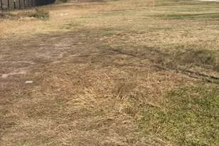 0 Rustling Leaves Off Dr, Houston, TX 77083 - Photo 5